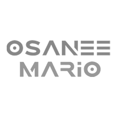 Osanee Mario Website Client 15